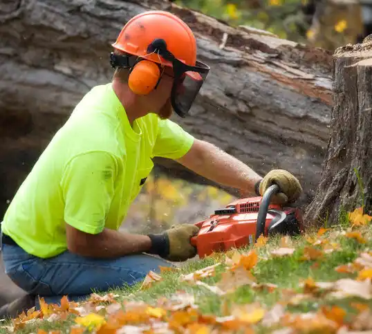 tree services Hagaman